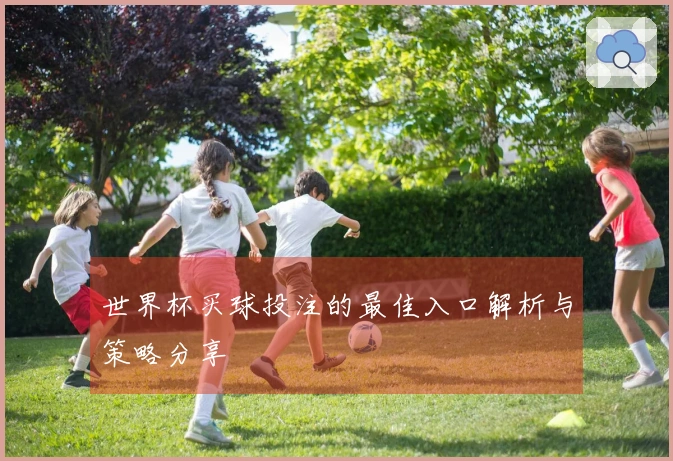 世界杯买球投注的最佳入口解析与策略分享