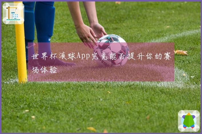 世界杯滚球App究竟能否提升你的赛场体验
