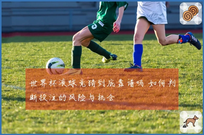 世界杯滚球竞猜到底靠谱吗 如何判断投注的风险与机会