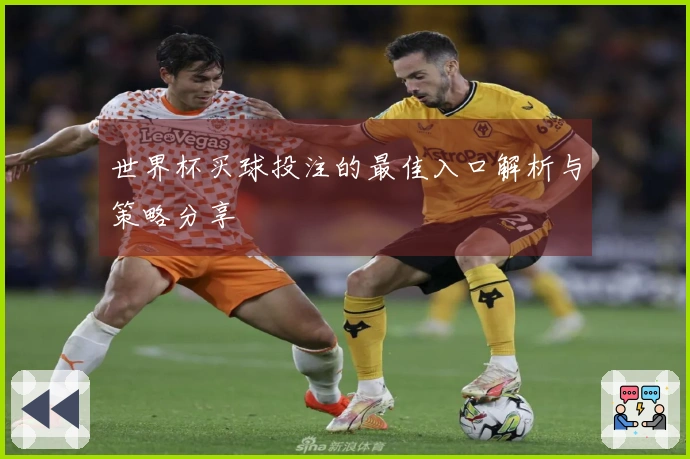 世界杯买球投注的最佳入口解析与策略分享